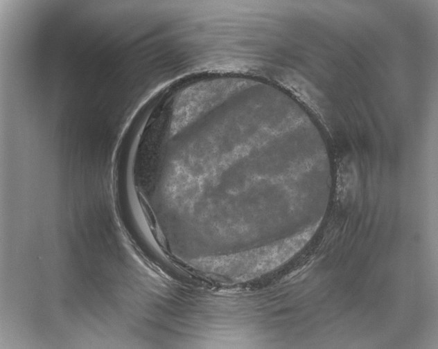 X0000070210584200606091626