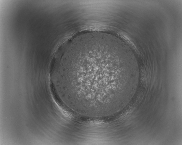 X0000070210586200606091626