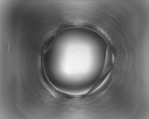 X0000070210589200606091626