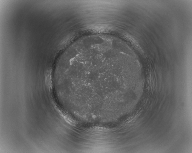 X0000070210590200606091626