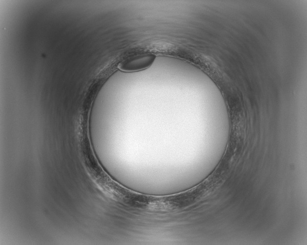 X0000070210591200606091626