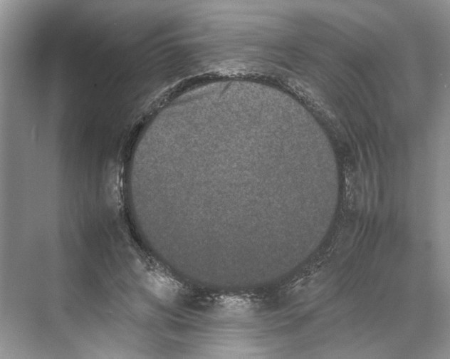 X0000070210592200606091626