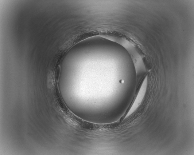 X0000070210593200606091626