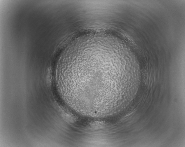 X0000070210594200606091626