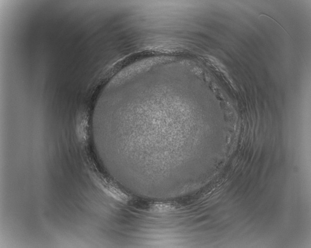 X0000070210596200606091626