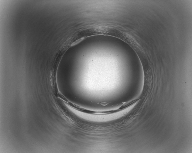 X0000070210597200606091626