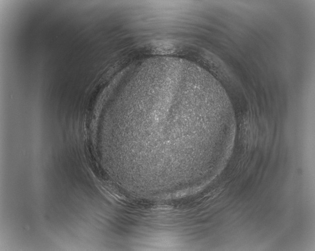 X0000070210598200606091626