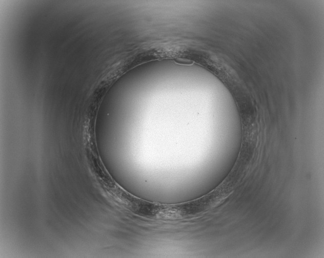 X0000070210599200606091626