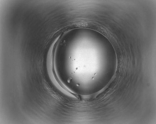 X0000070210600200606091626