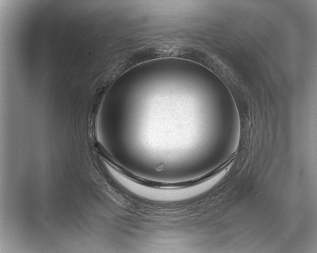 X0000070210601200606091626