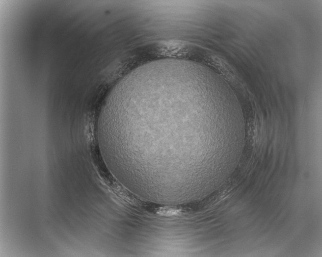 X0000070210602200606091626