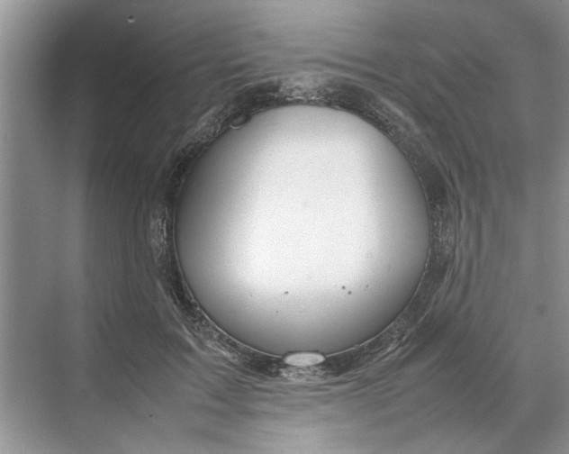 X0000070210603200606091626