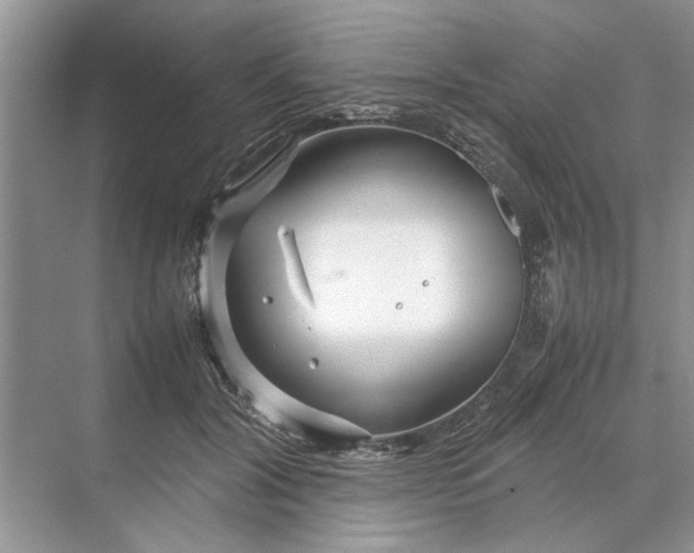 X0000070210604200606091626