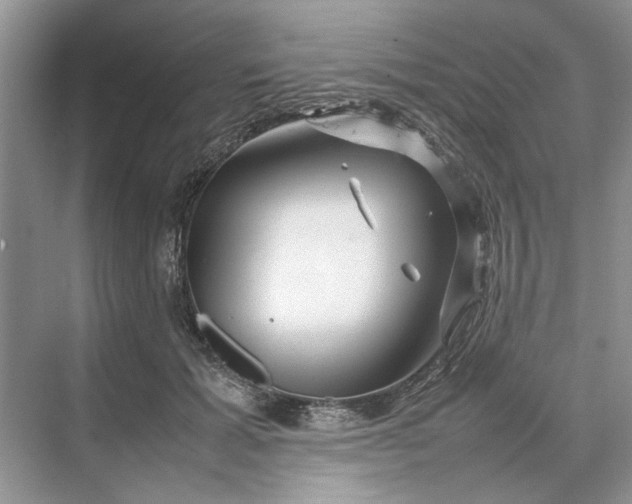 X0000070210605200606091626