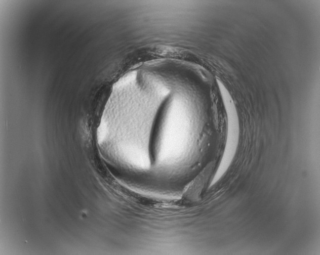 X0000070210607200606091626