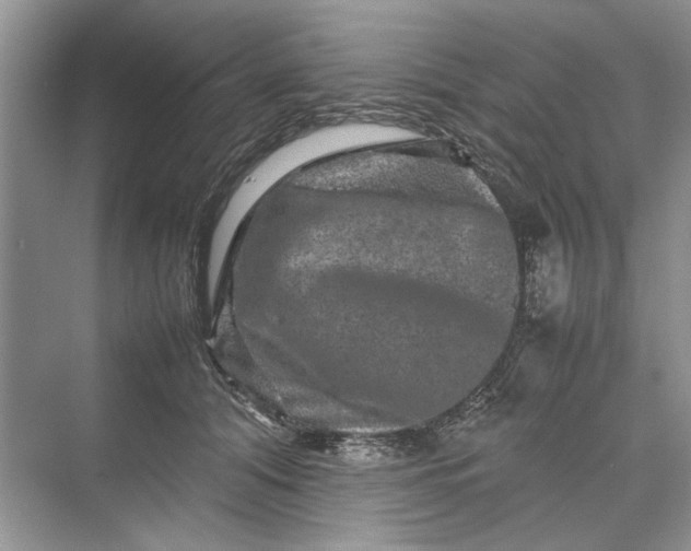 X0000070210608200606091626