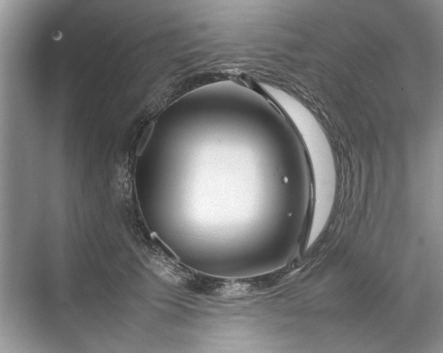 X0000070210609200606091626