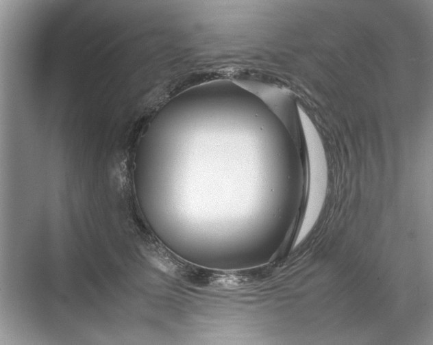 X0000070210611200606091626