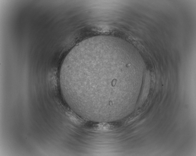 X0000070210612200606091626