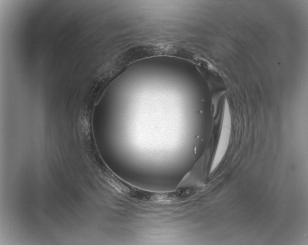 X0000070210613200606091626