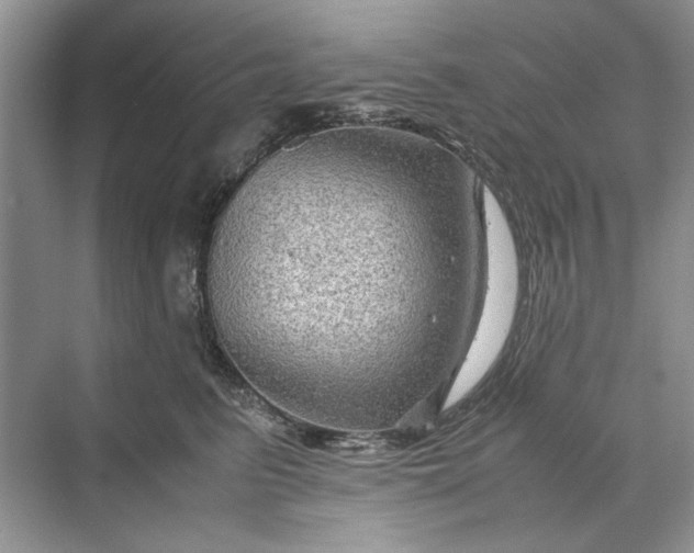 X0000070210615200606091626