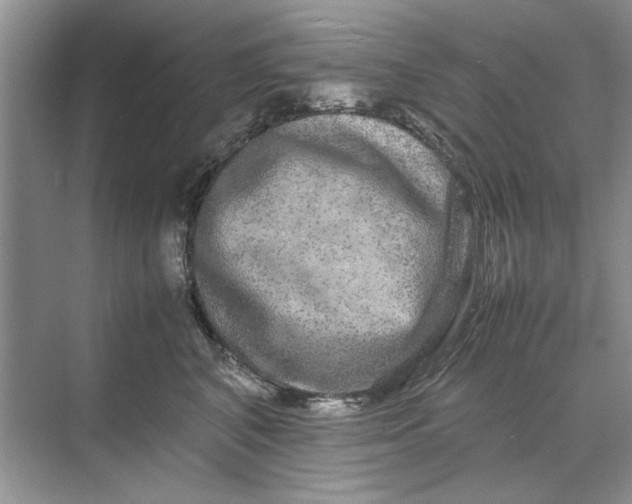 X0000070210616200606091626