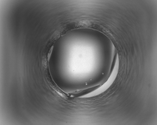 X0000070210617200606091626