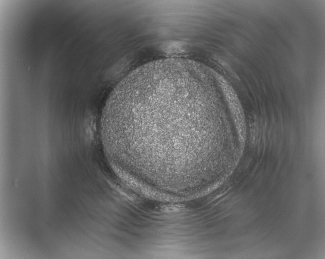 X0000070210618200606091626