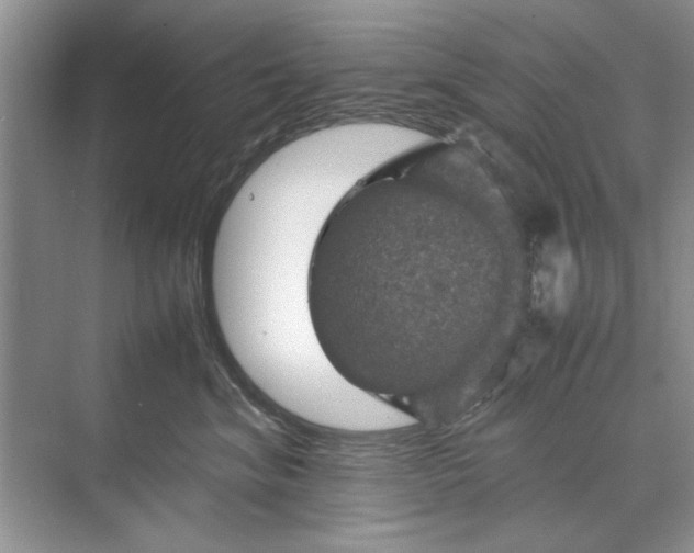 X0000070210620200606091626