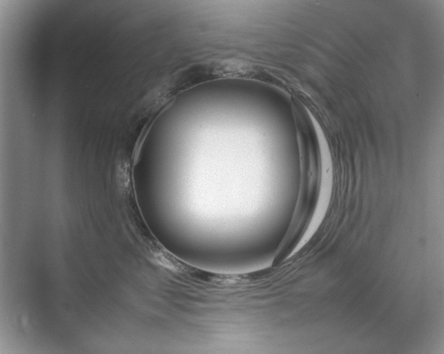 X0000070210621200606091626