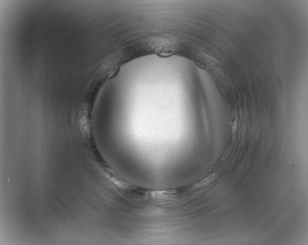 X0000070210622200606091626