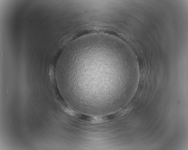 X0000070210623200606091626