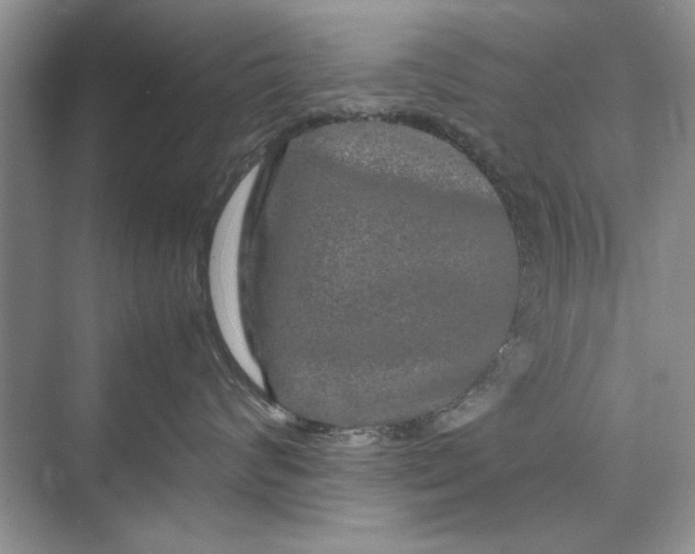 X0000070210624200606091626