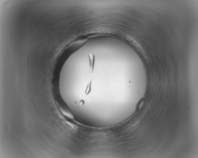 X0000070210625200606091625