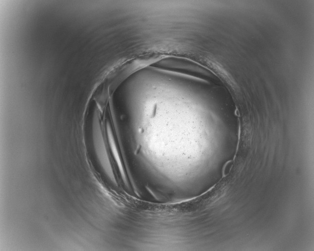 X0000070210626200606091625