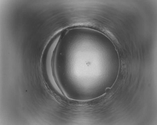 X0000070210628200606091625