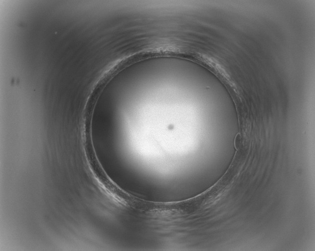 X0000070210629200606091625