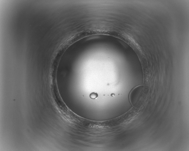 X0000070210635200606091625