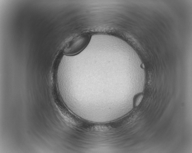 X0000070210636200606091625