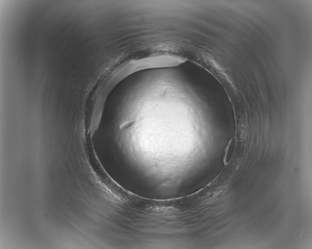 X0000070210637200606091625