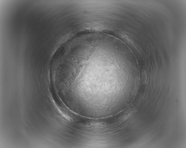 X0000070210638200606091625