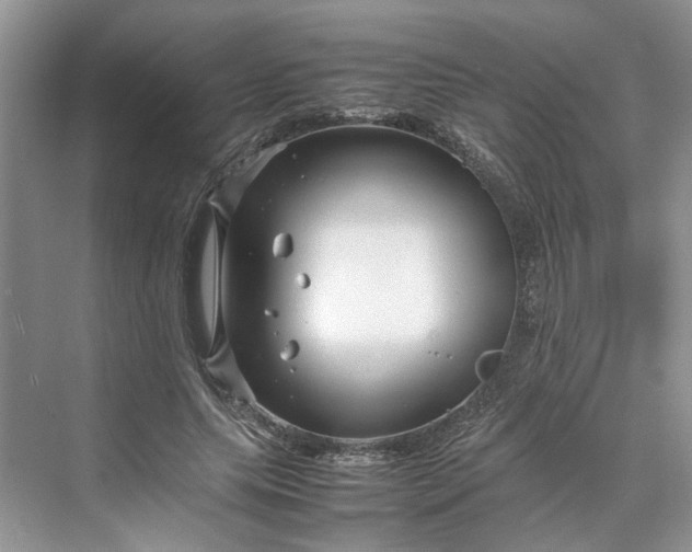 X0000070210639200606091625