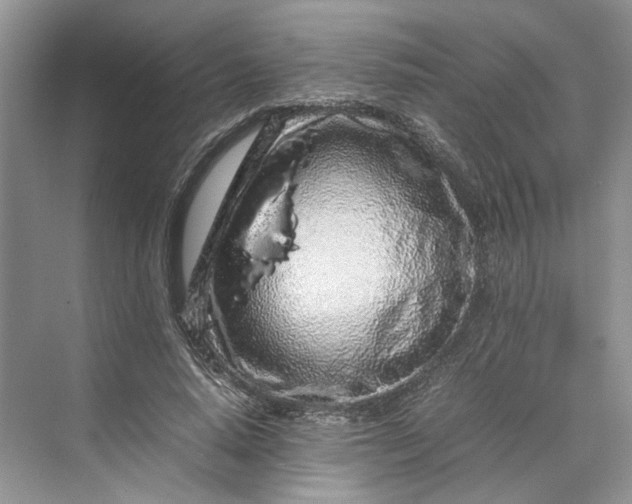 X0000070210640200606091625