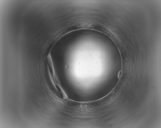 X0000070210641200606091625