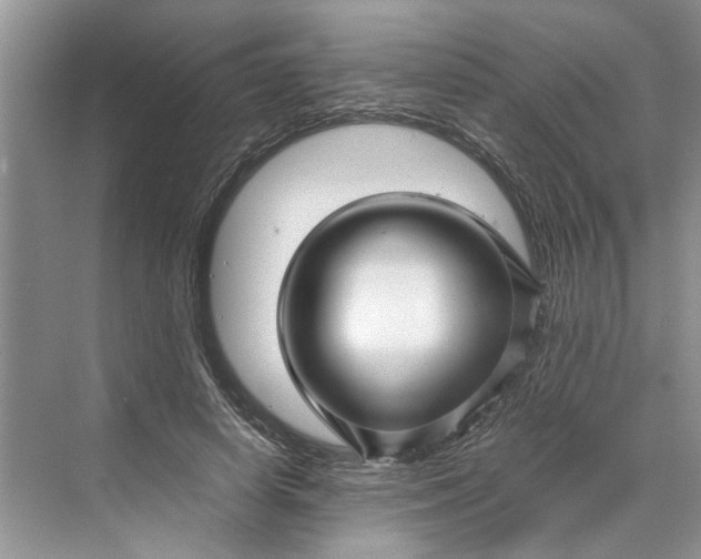 X0000070210642200606091625