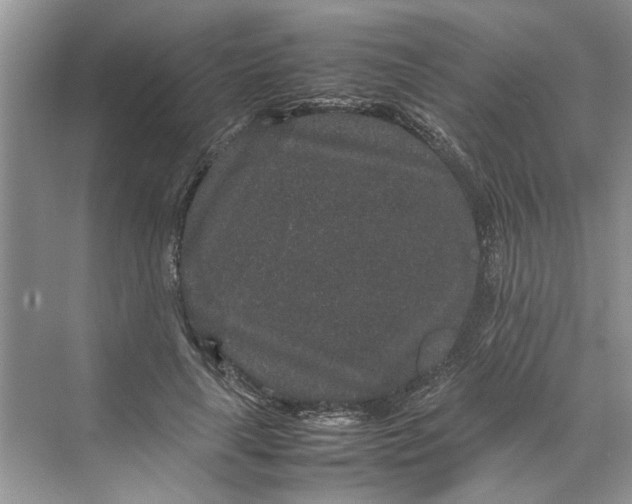 X0000070210643200606091625