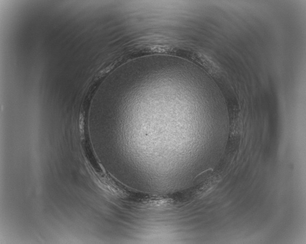 X0000070210646200606091625