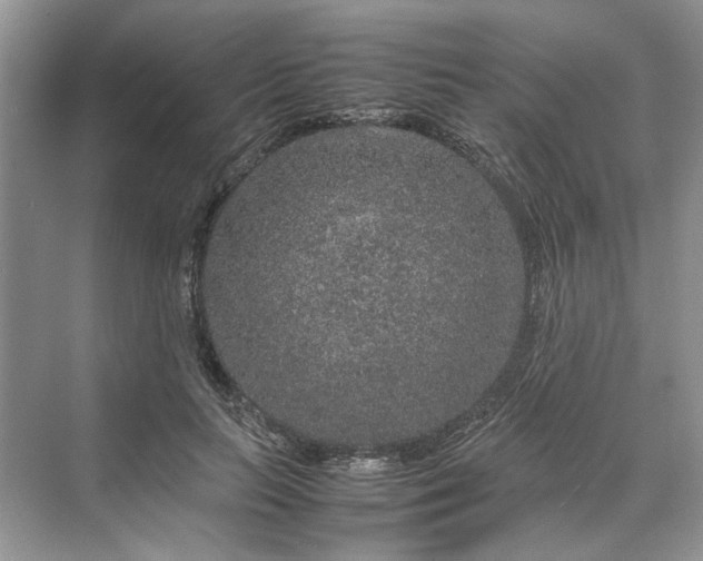 X0000070210647200606091625