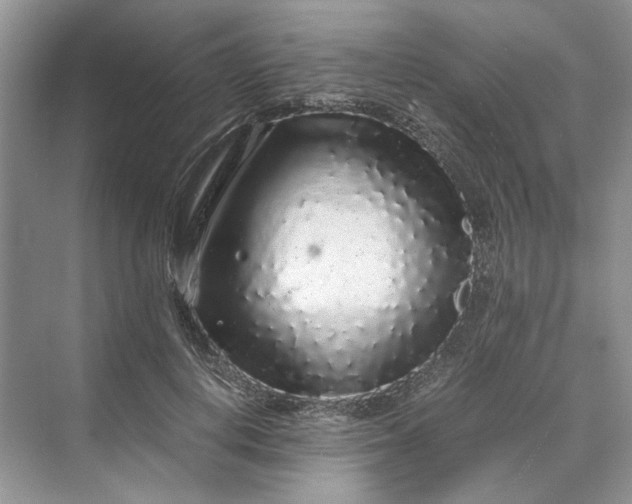 X0000070210648200606091625