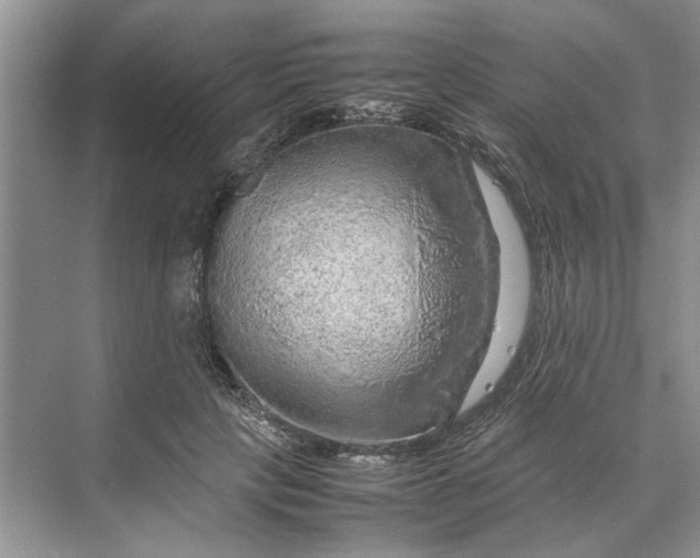 X0000070210649200606091625